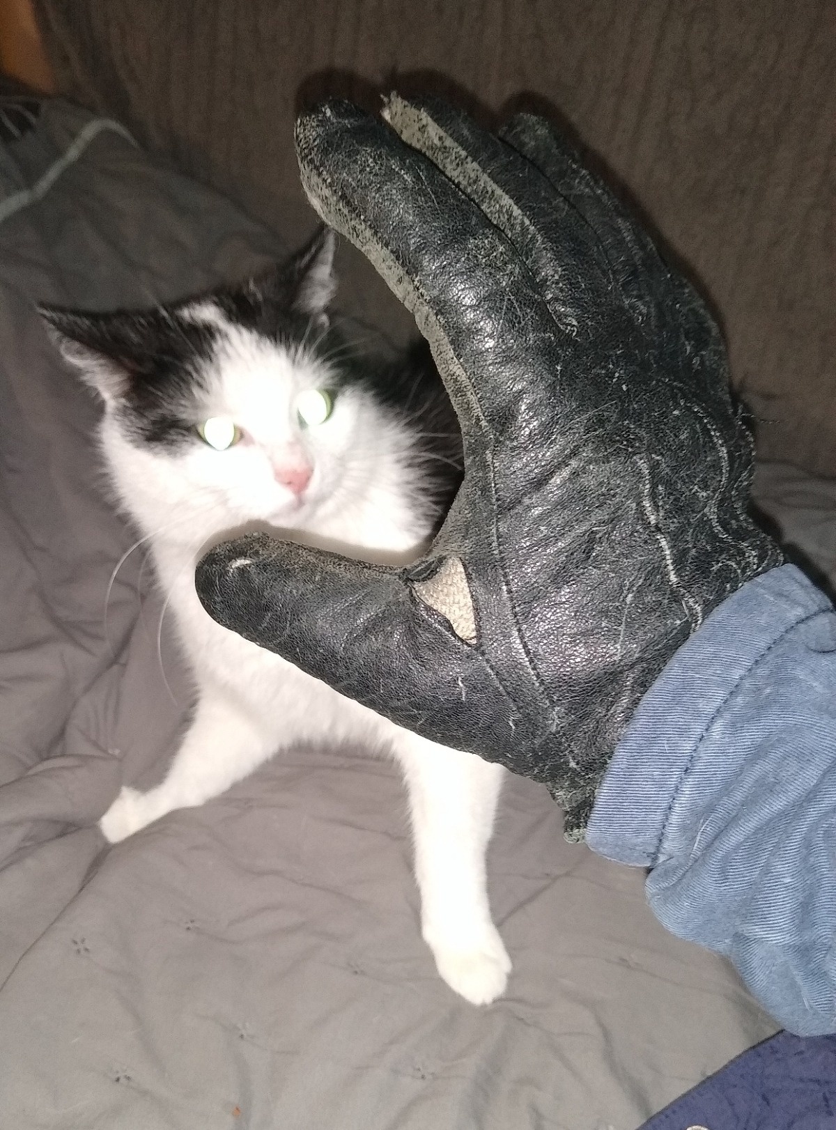 c07ef184-a6a8-40e3-ae40-66b2879f6d26