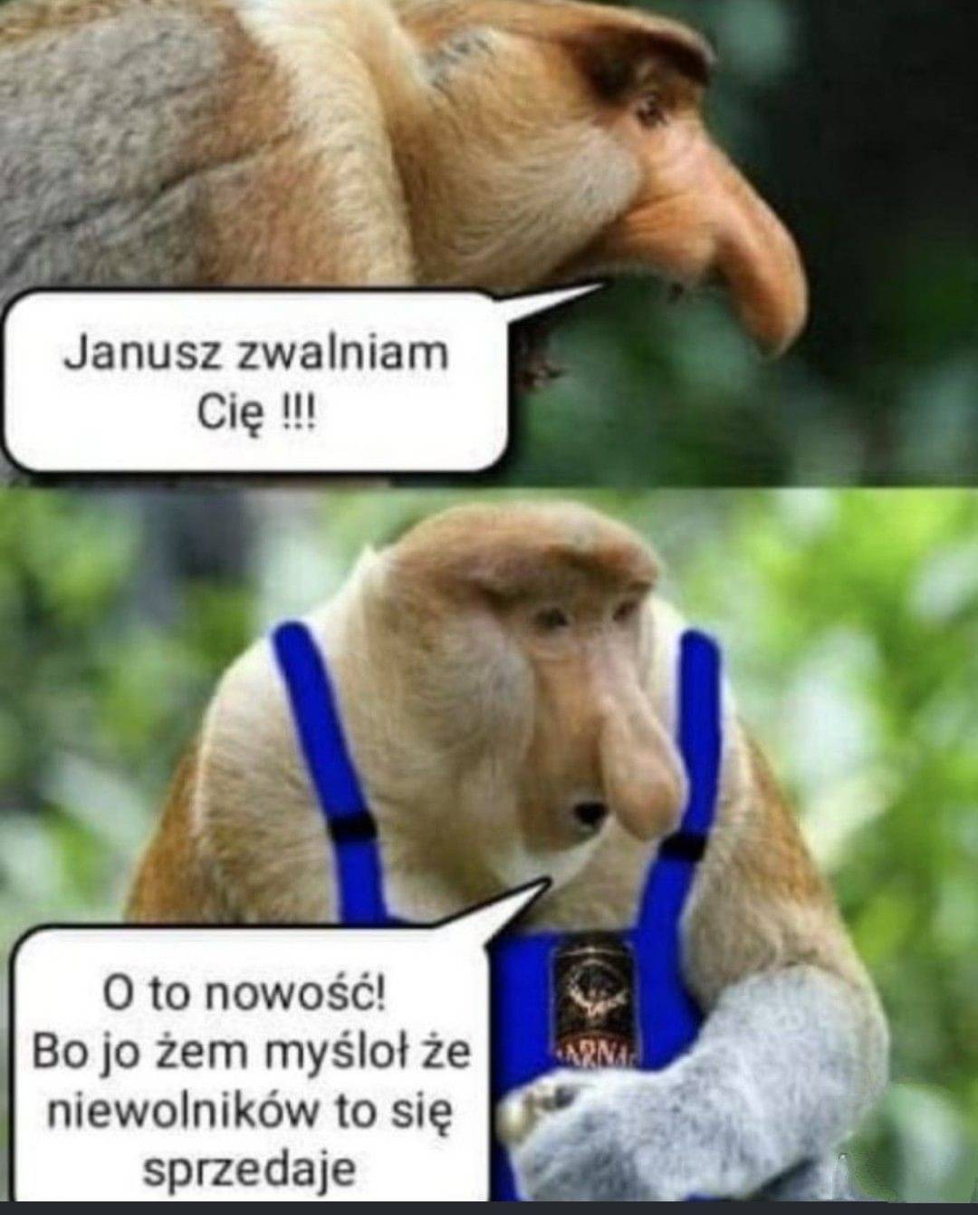 537aa25a-756e-4230-94e5-18121e94865d