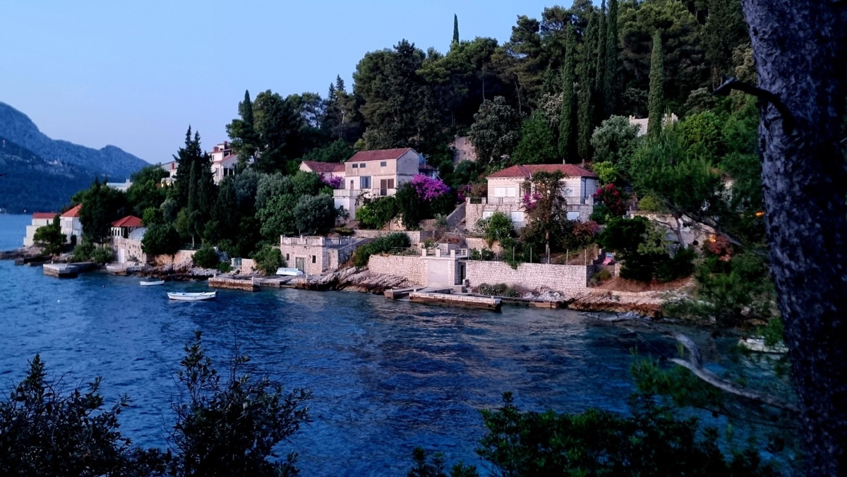 91687abb-ab71-48ed-b57d-3368ca276d37