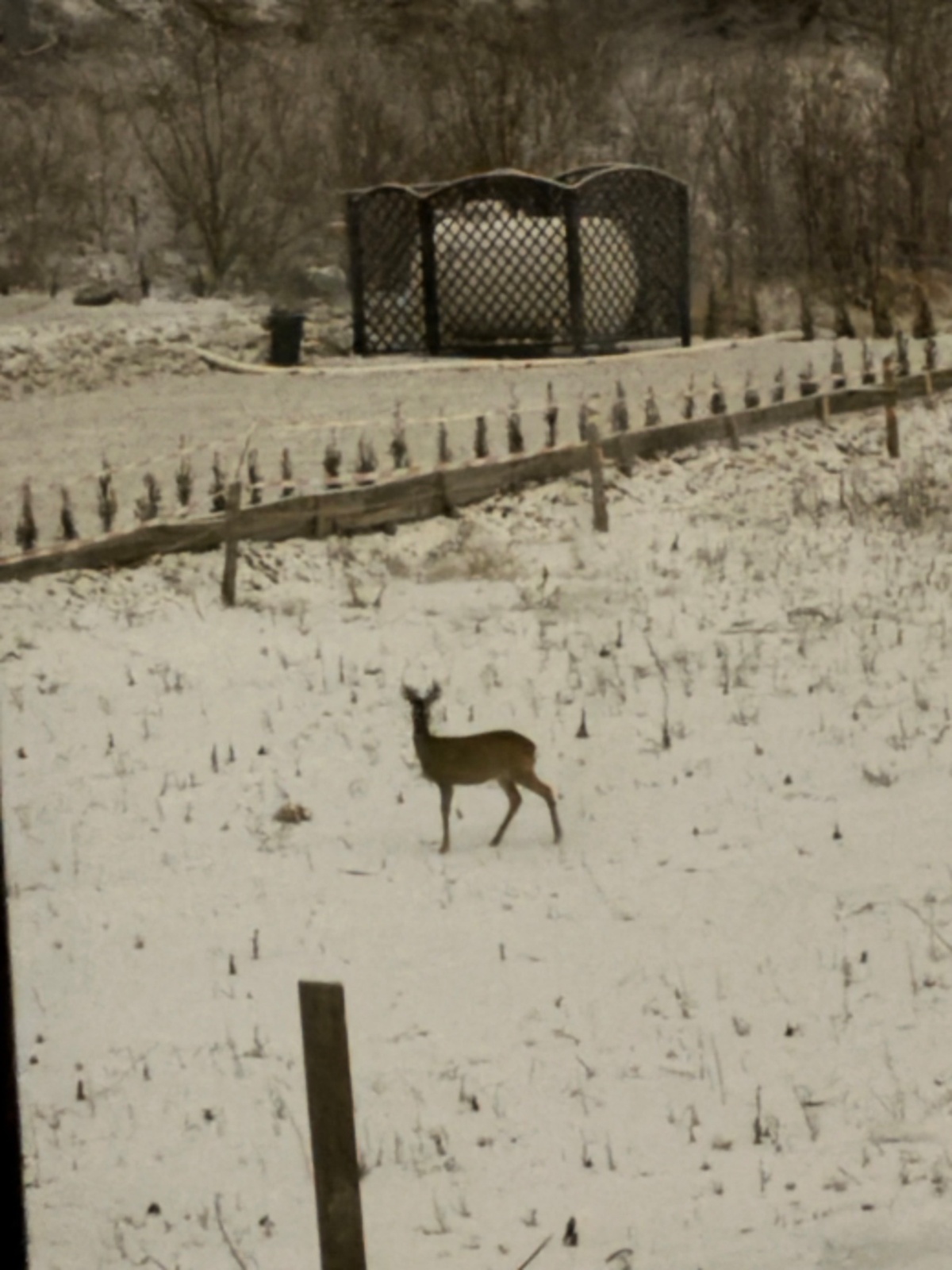 60553dbe-9c82-44c3-b98e-90c4c0c2b46b