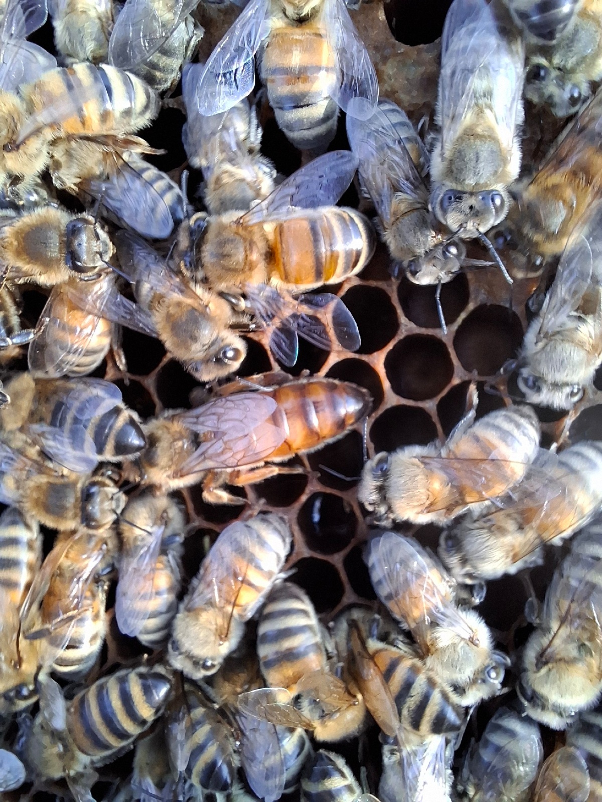 ca828bc3-3748-492b-9588-f9fb79138fea