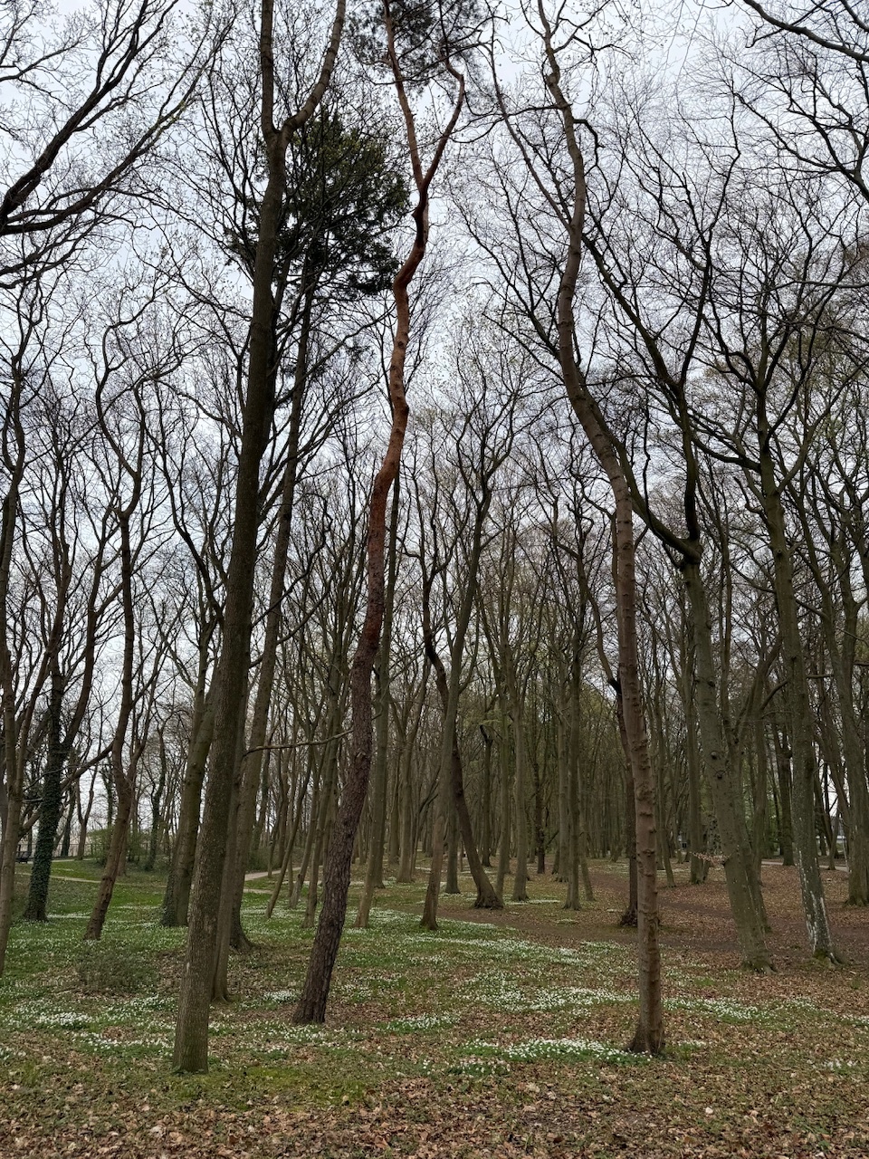 77533113-98f4-4998-8849-b06fd4aaf63a