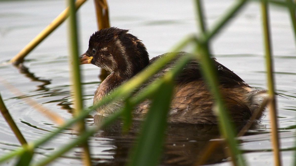 d75670bf-2df1-4d3d-94dc-8b02744a7070