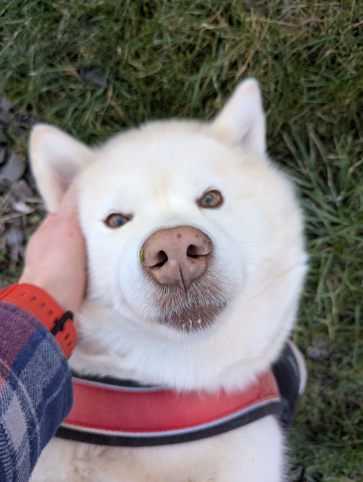 33abf166-72cf-4d0f-8ac3-ae439cf7ed40