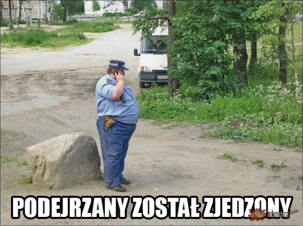 fe78d8b1-5450-4a93-909c-c2bfe6b11ac5