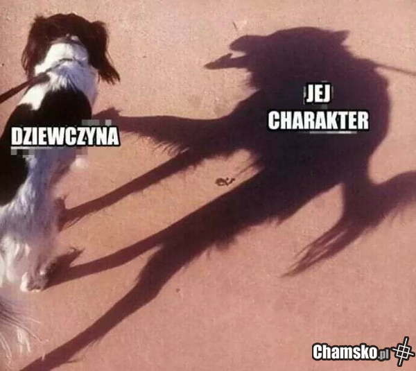 75de73cf-514e-49b6-8cb4-ae3a5c9c4692