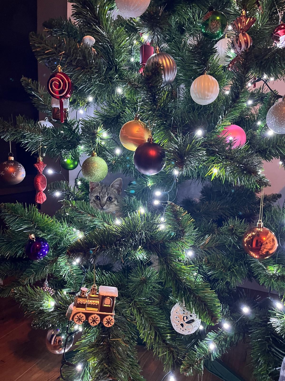 896dd3e8-eb2d-435d-ae52-26b66c42c0d4