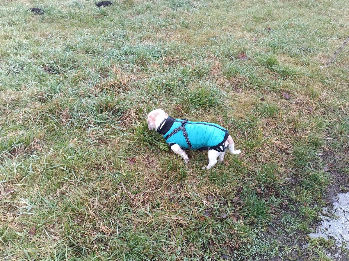 370585df-1514-4000-9296-97760aa13bb8