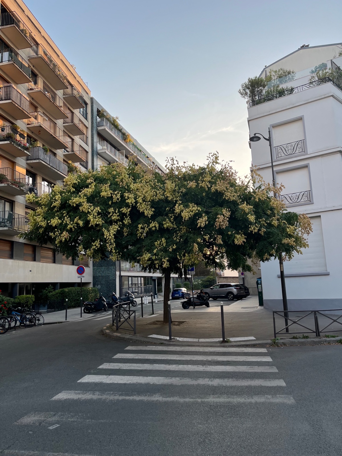 450a9cf7-9843-4608-b24f-0b826f2de5a9