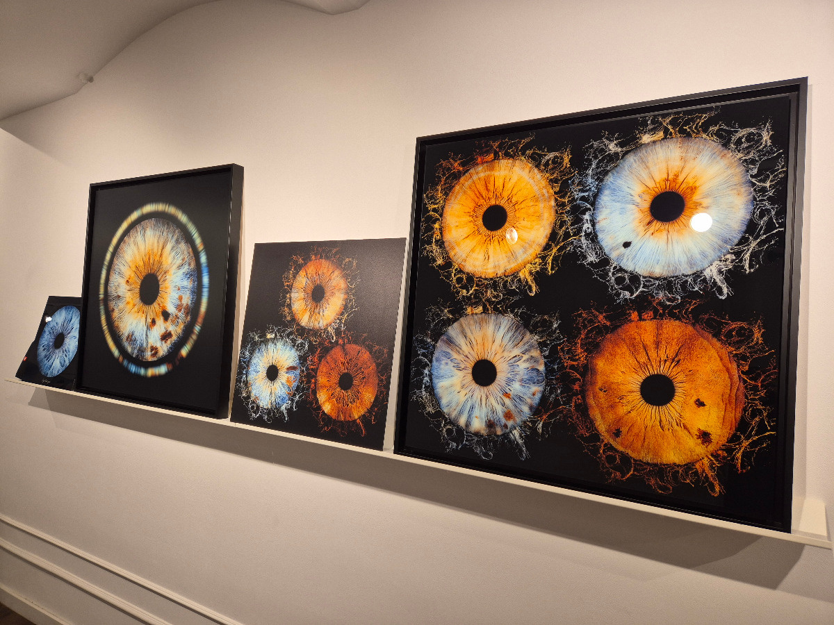 1757df60-f5be-4f9d-b6cd-fa6856a2d957