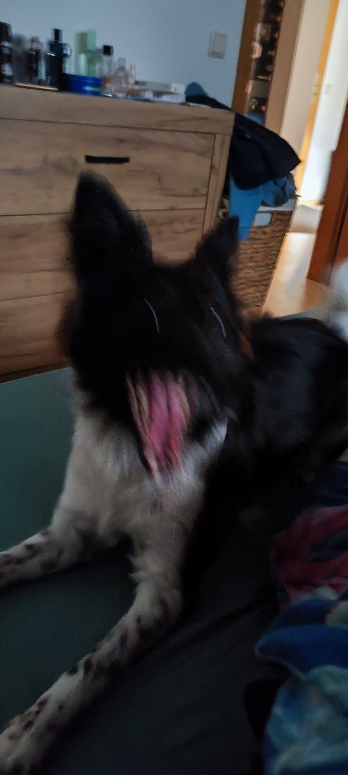 c7a71119-2c97-4f78-a9a5-e65267a21574