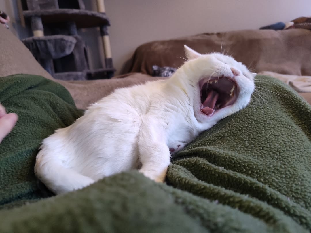 53c94864-36db-47d9-8a02-2edc98a96020