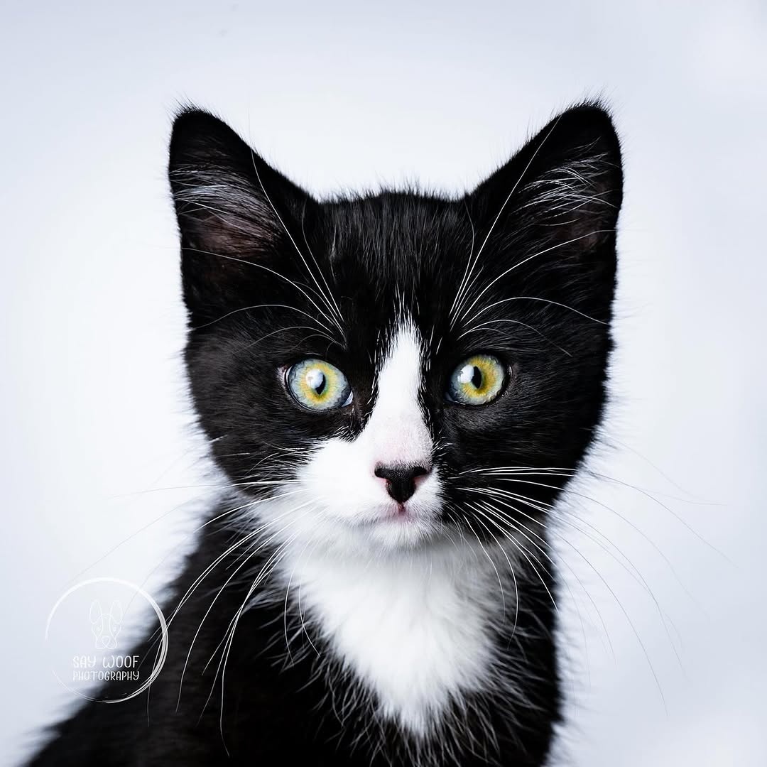 9cbb8a92-5059-4585-916b-46a7814b1b6b