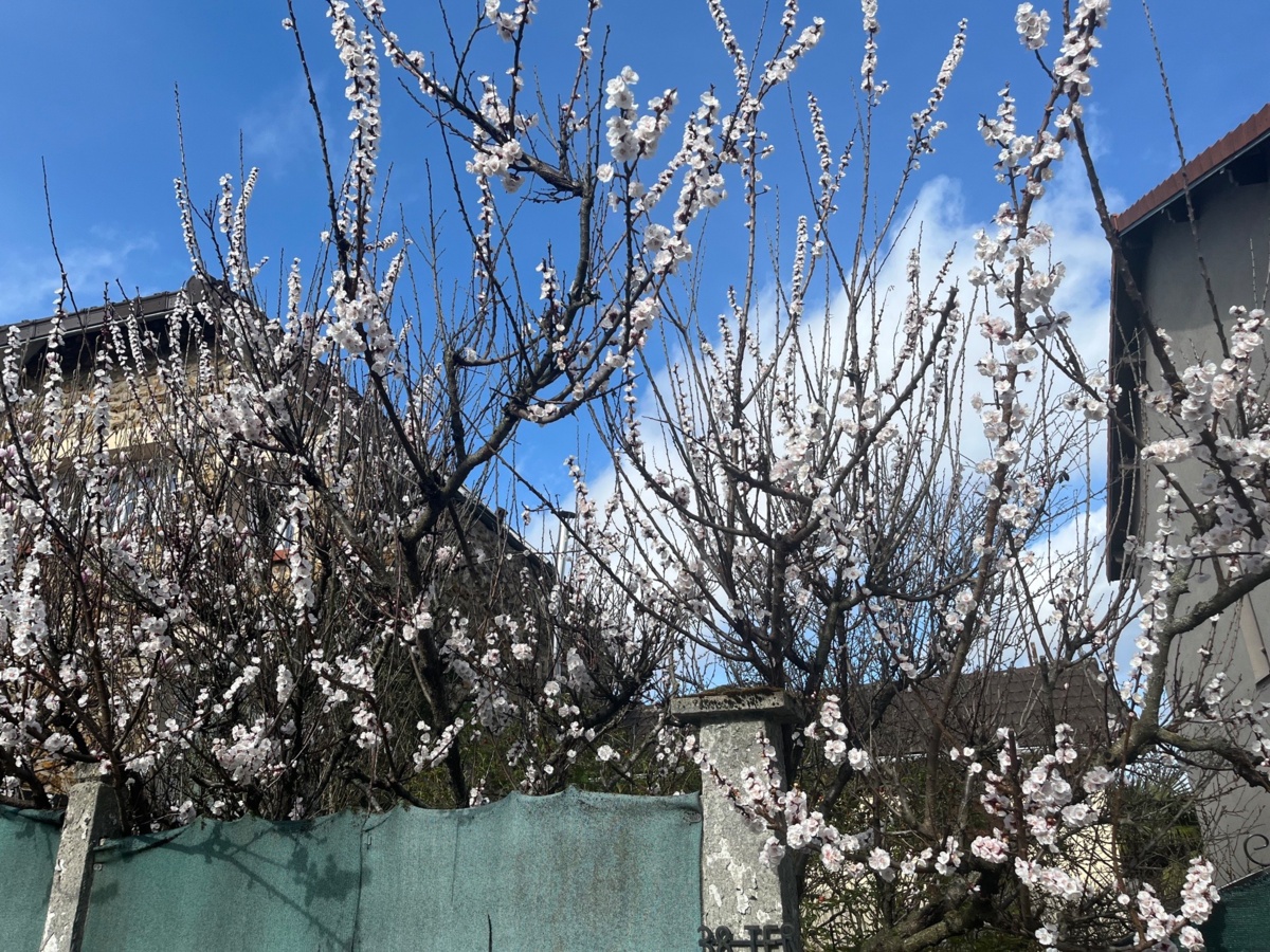 f0f5c0c6-da5a-42ea-a7fc-be83c07053b8