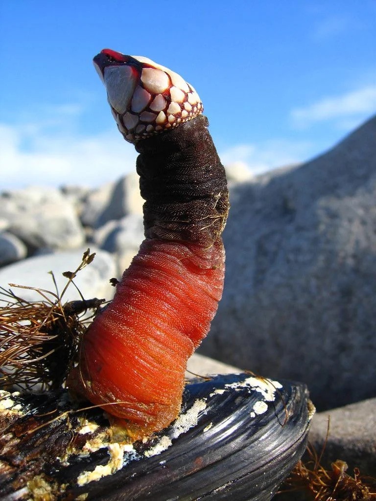 0f080feb-1d66-4176-ae9b-04a58e1be889