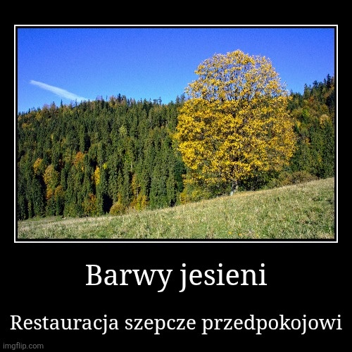 f37d1dd3-3967-402c-8bff-a245f219560c