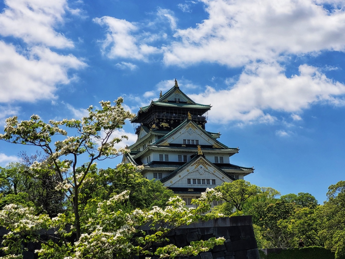 af459987-0b60-4e72-a9c6-e8c4244d75b0