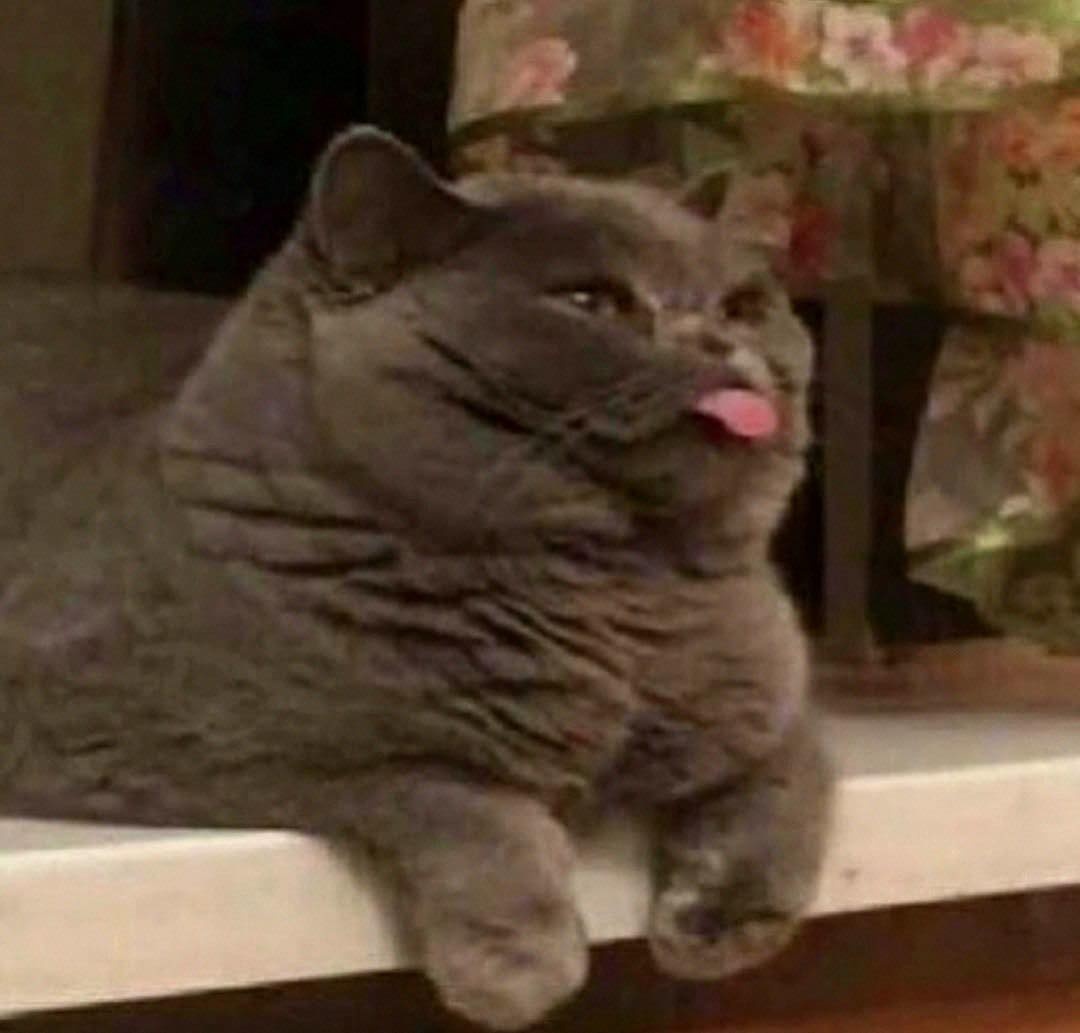 cb5ea0bb-c407-4252-b4c4-4fbc91b3b52c