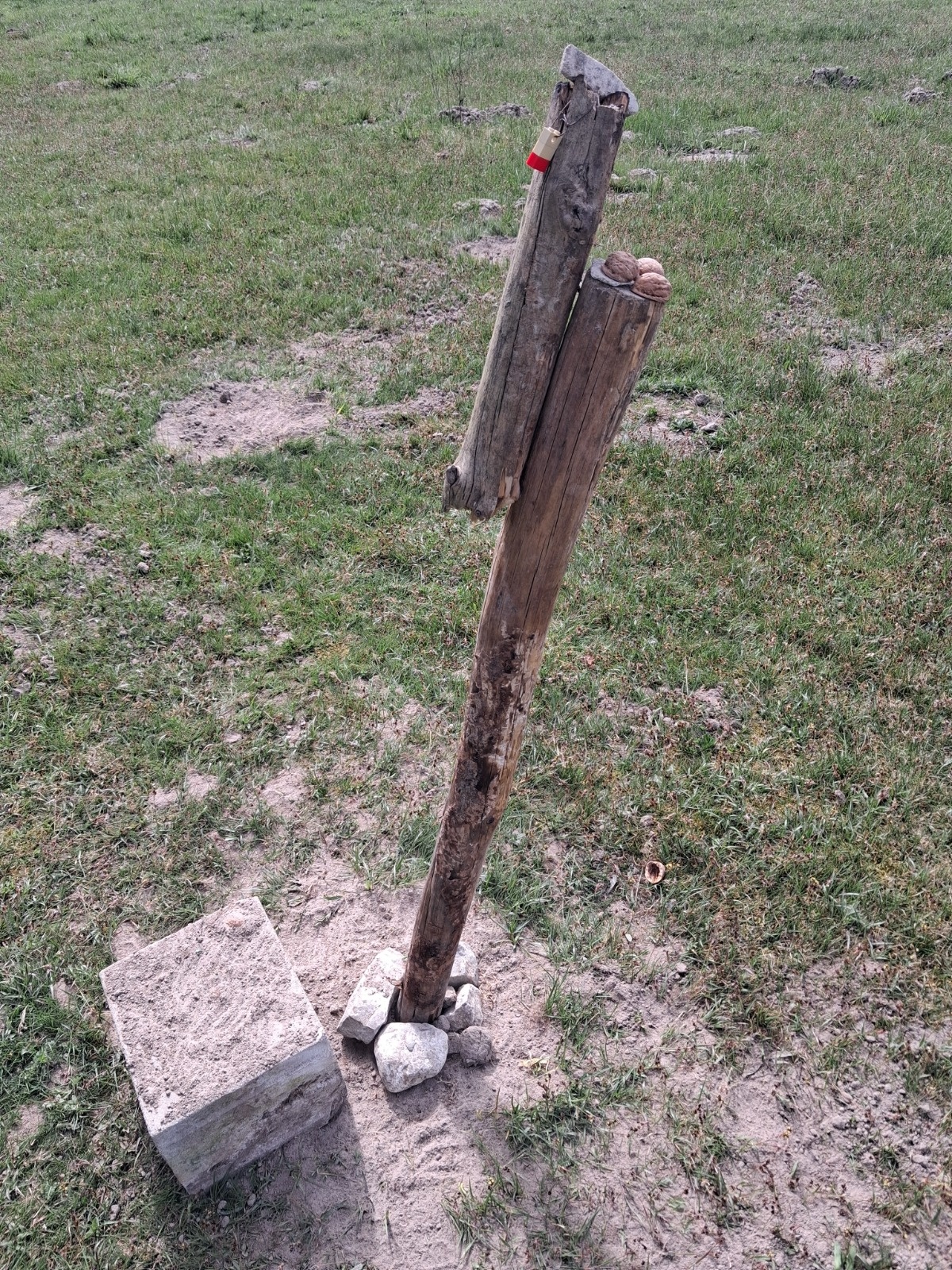 75270e06-30d8-4763-87e5-65fbdebadb2b