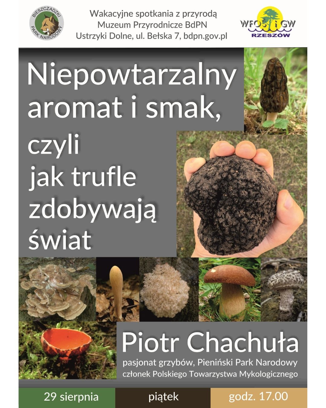 7670d081-d02c-4dda-8e93-4586b97c00f3