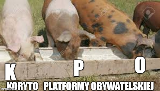 e6cee990-b67b-4303-9437-8f4d3b36c734