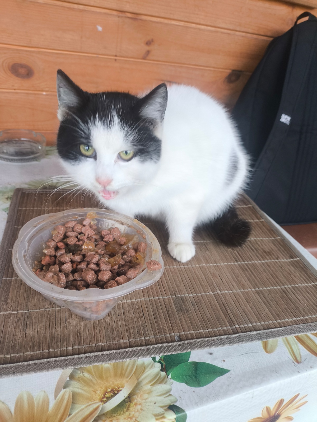 fd786a94-ffd2-40c2-aae6-feaeb1db0ac2