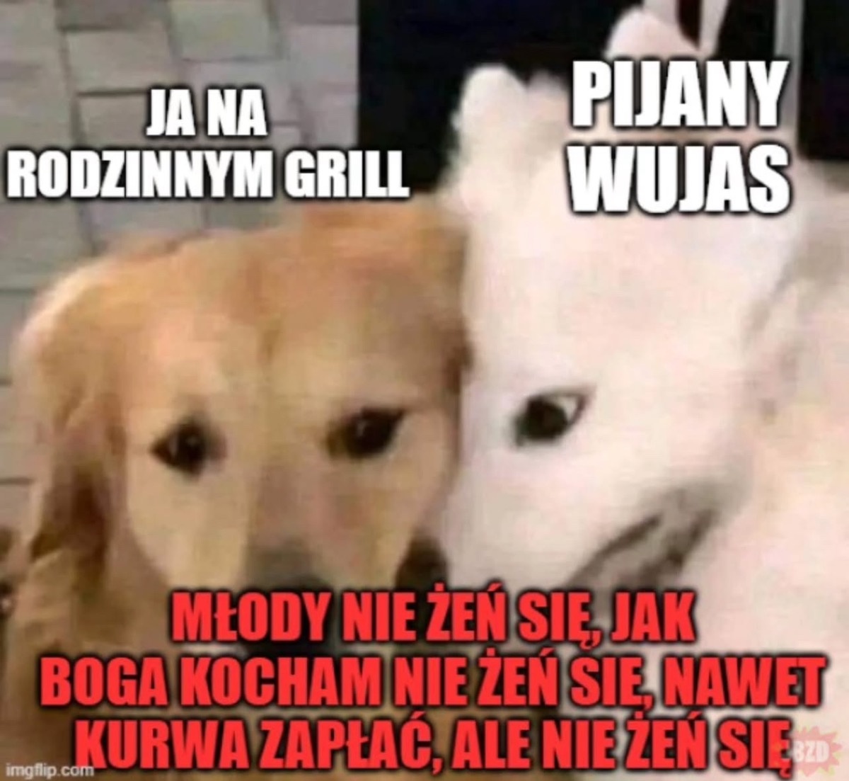 914c480e-1e48-4eb9-bea5-732a08062844