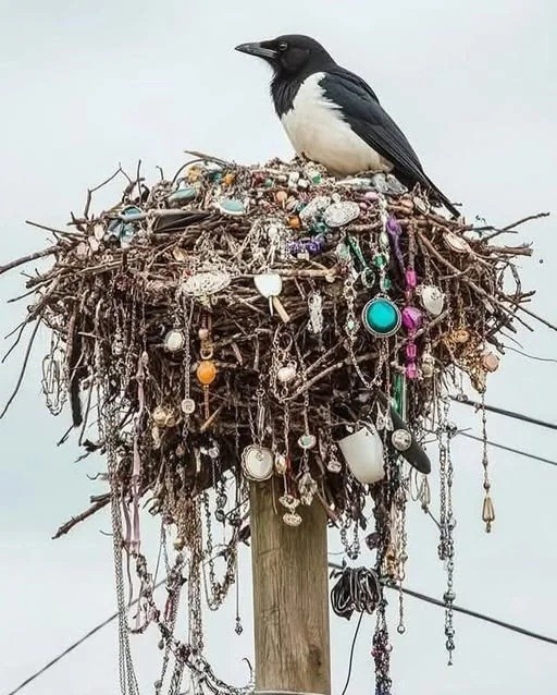 88be719b-743f-421e-959d-717df50c7679