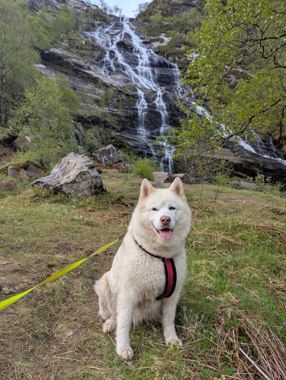 cb4c50b1-bd16-44c0-a982-ca313b96473b