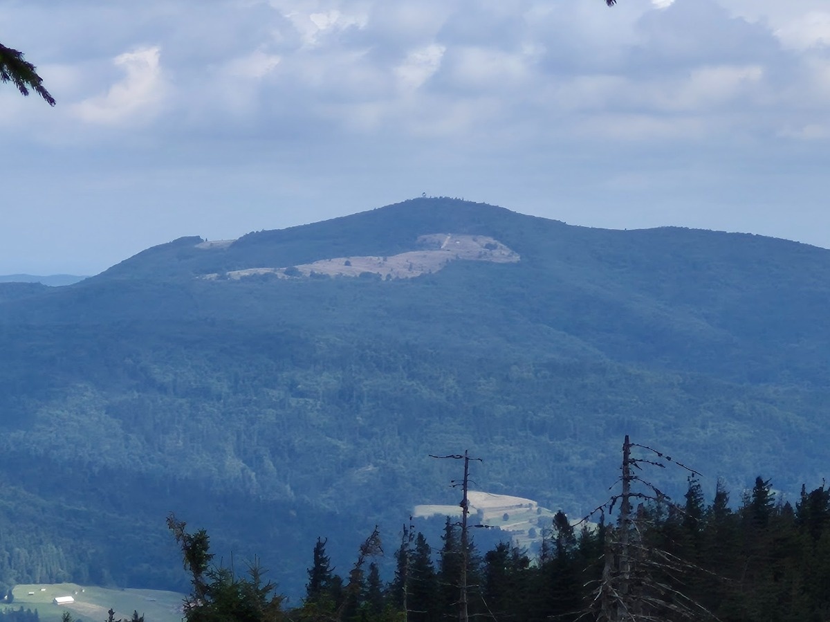 3644c4a9-682c-4f52-9235-9e9d20fadbb9