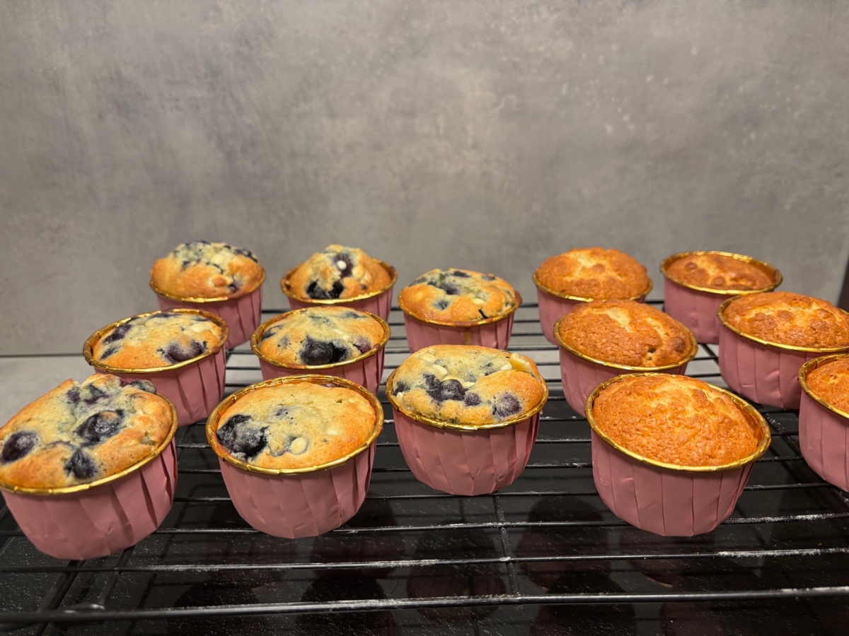 d01e1929-2fad-458f-8f28-dc0e4721901d