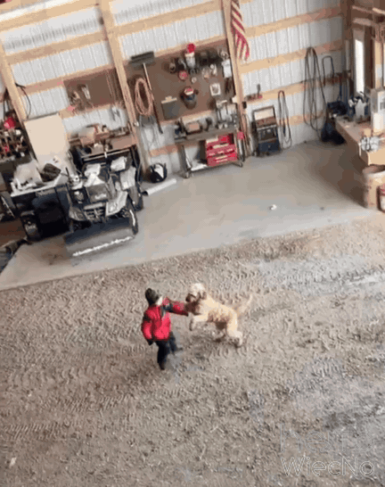 18c336c2-8ce2-45b4-98d4-58b919f8c7a8