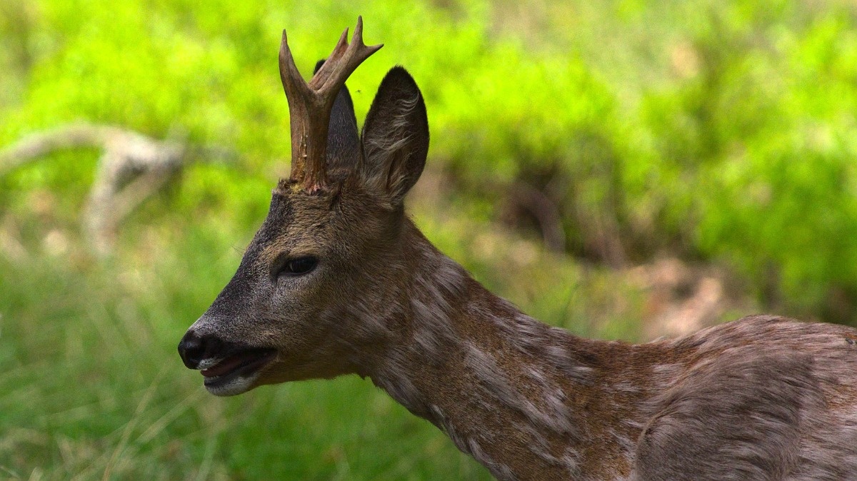 b023289c-9e9c-4457-b958-1b567216db3d