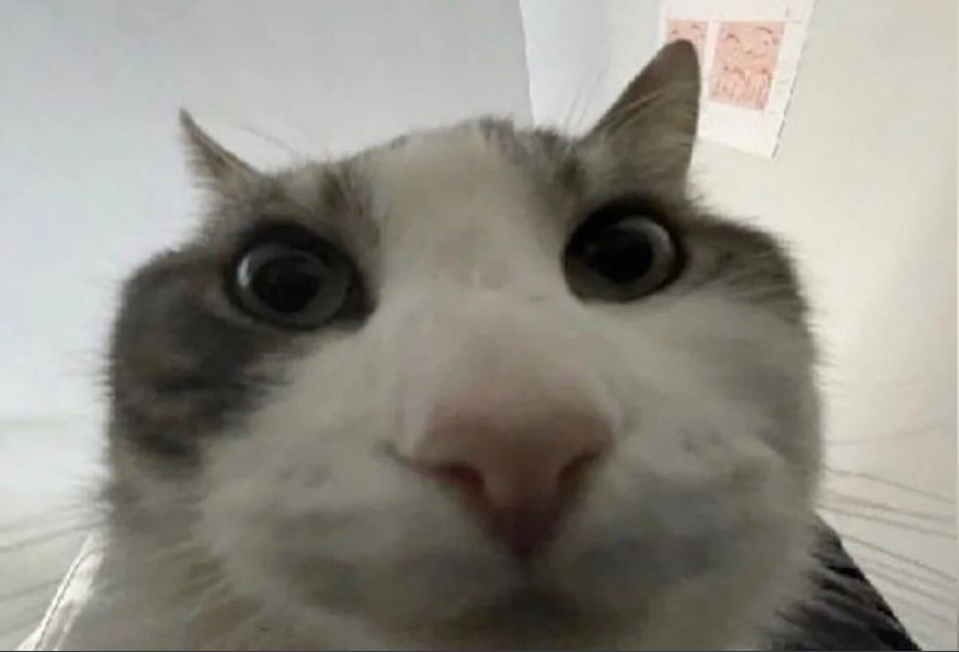 fe770bab-00db-409b-9f01-66109b5a5081