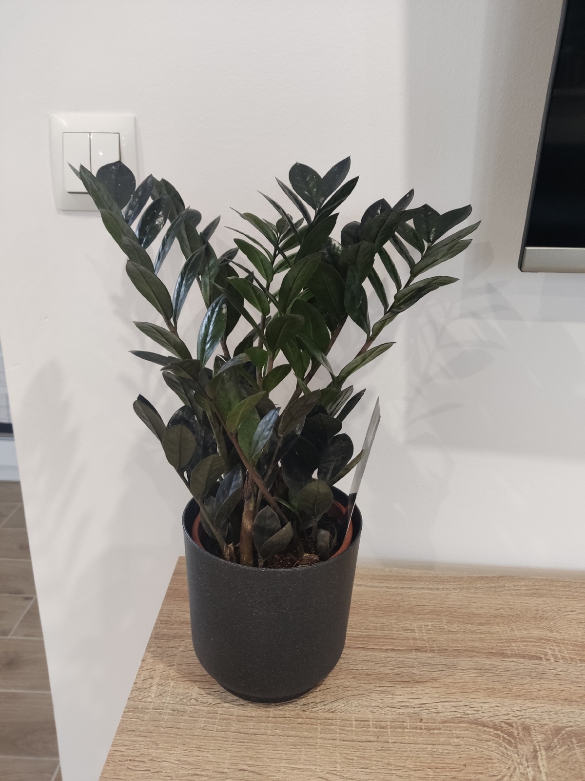 9992e52b-d7c4-41c2-a516-c9f1e044fdc8