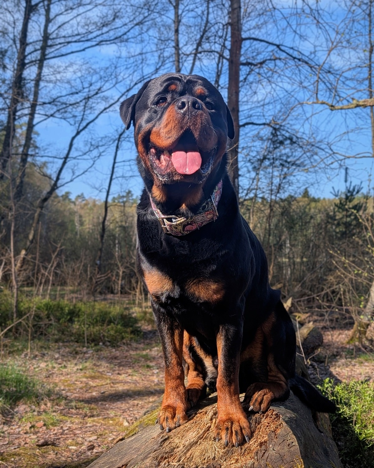 f07ed13a-466e-43a4-80b4-703a73226f11