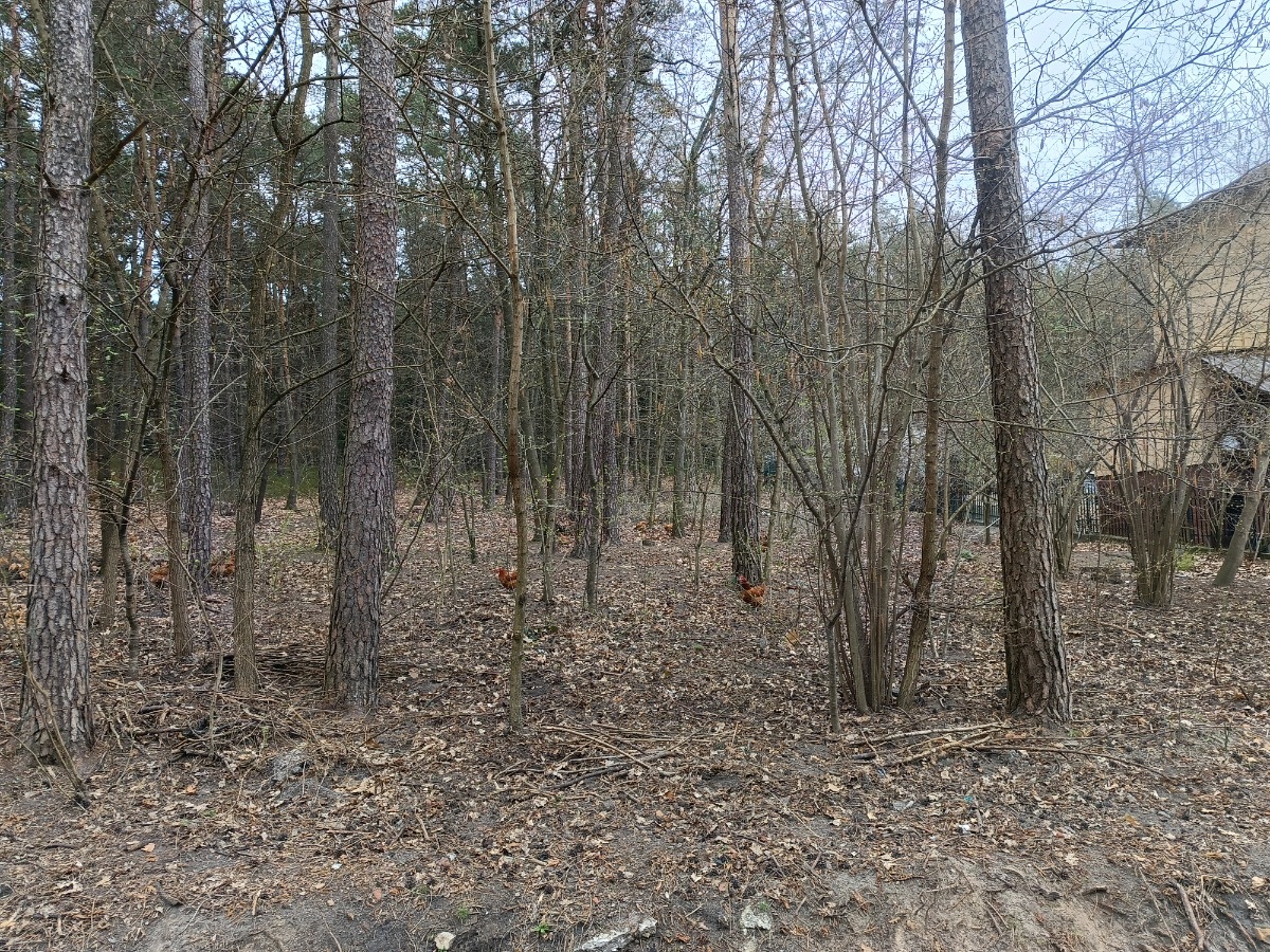 b8e0ce73-6c20-49c3-8a03-16197cb86e13