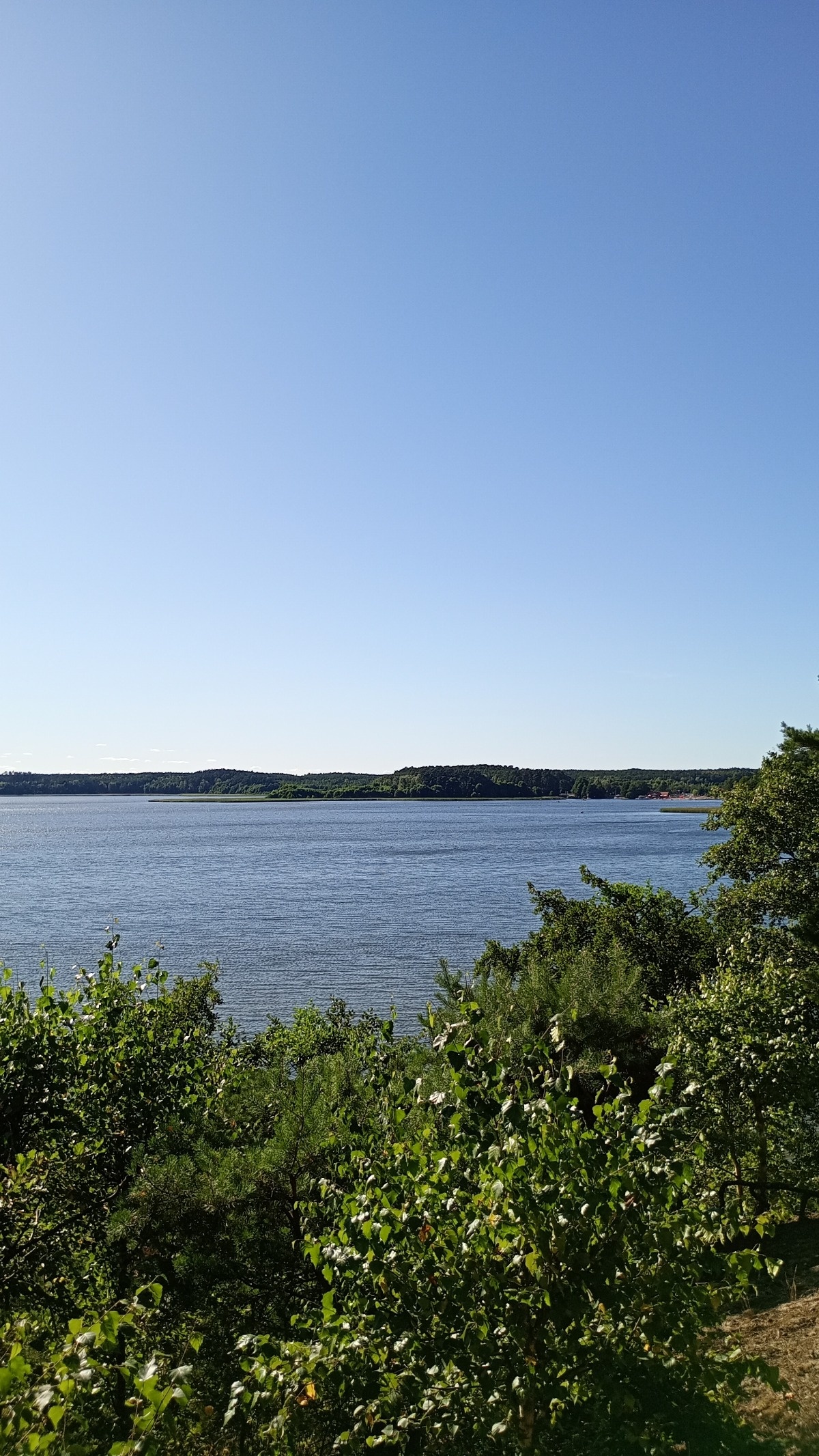 92b4c60c-bea2-423e-a010-2f34bc2f87f0