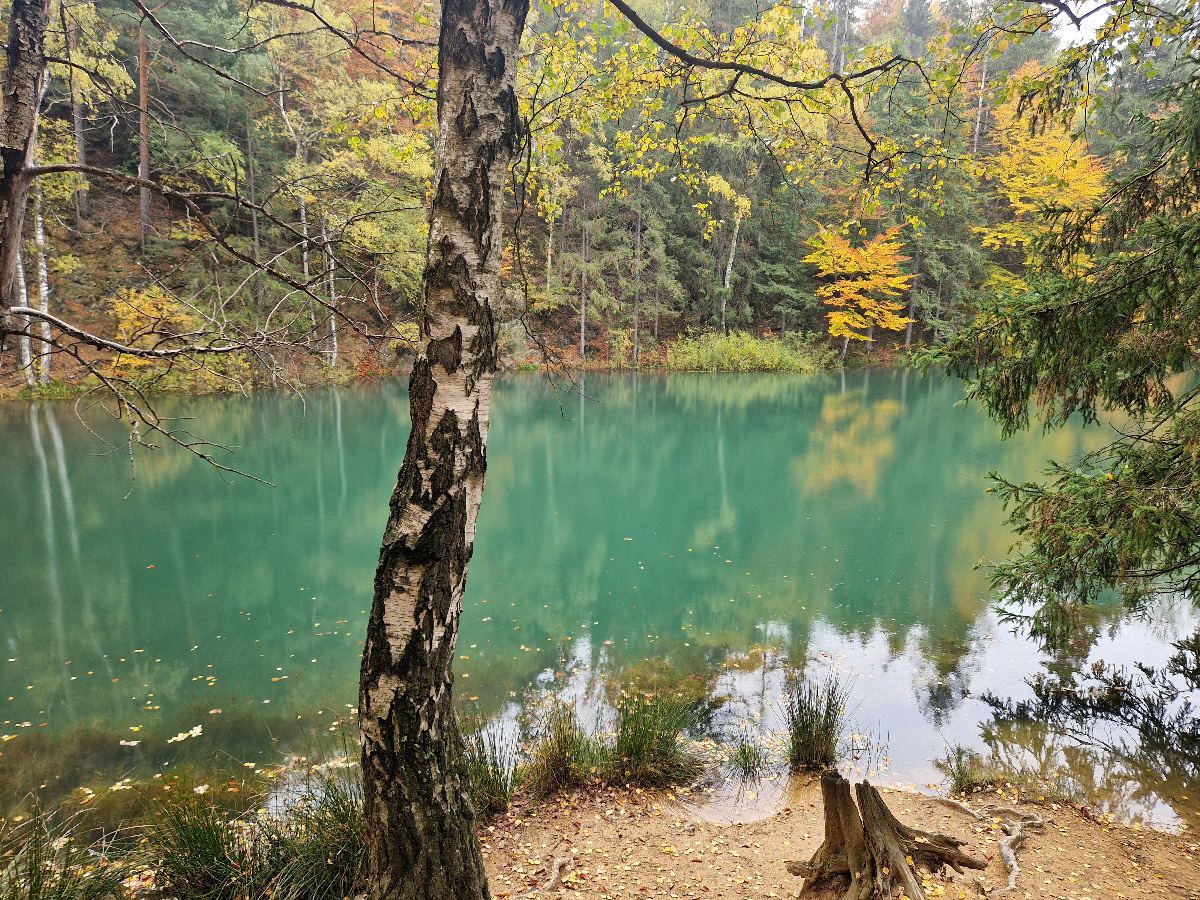 9a86993b-4637-4161-a8c4-47d4cb95af1a