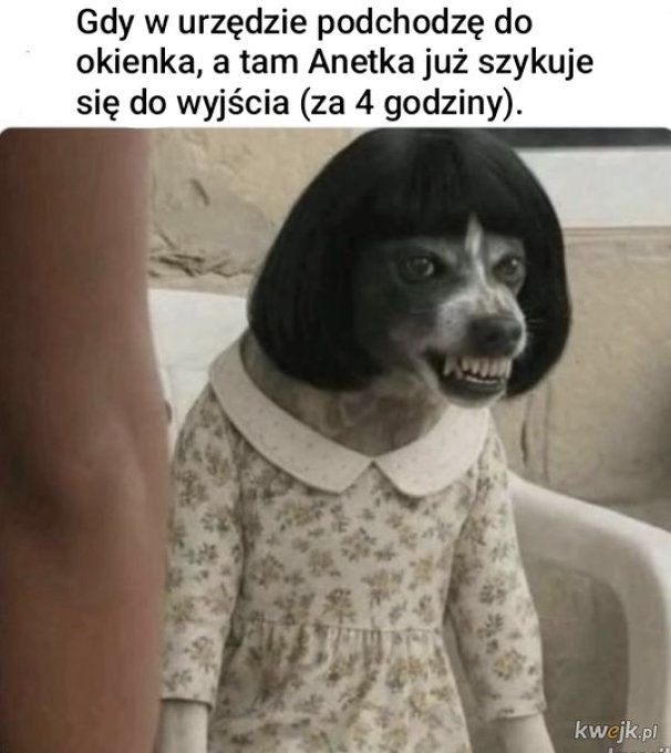 a9a842c0-dfd7-4ecf-bec7-e7218a4a3cc3