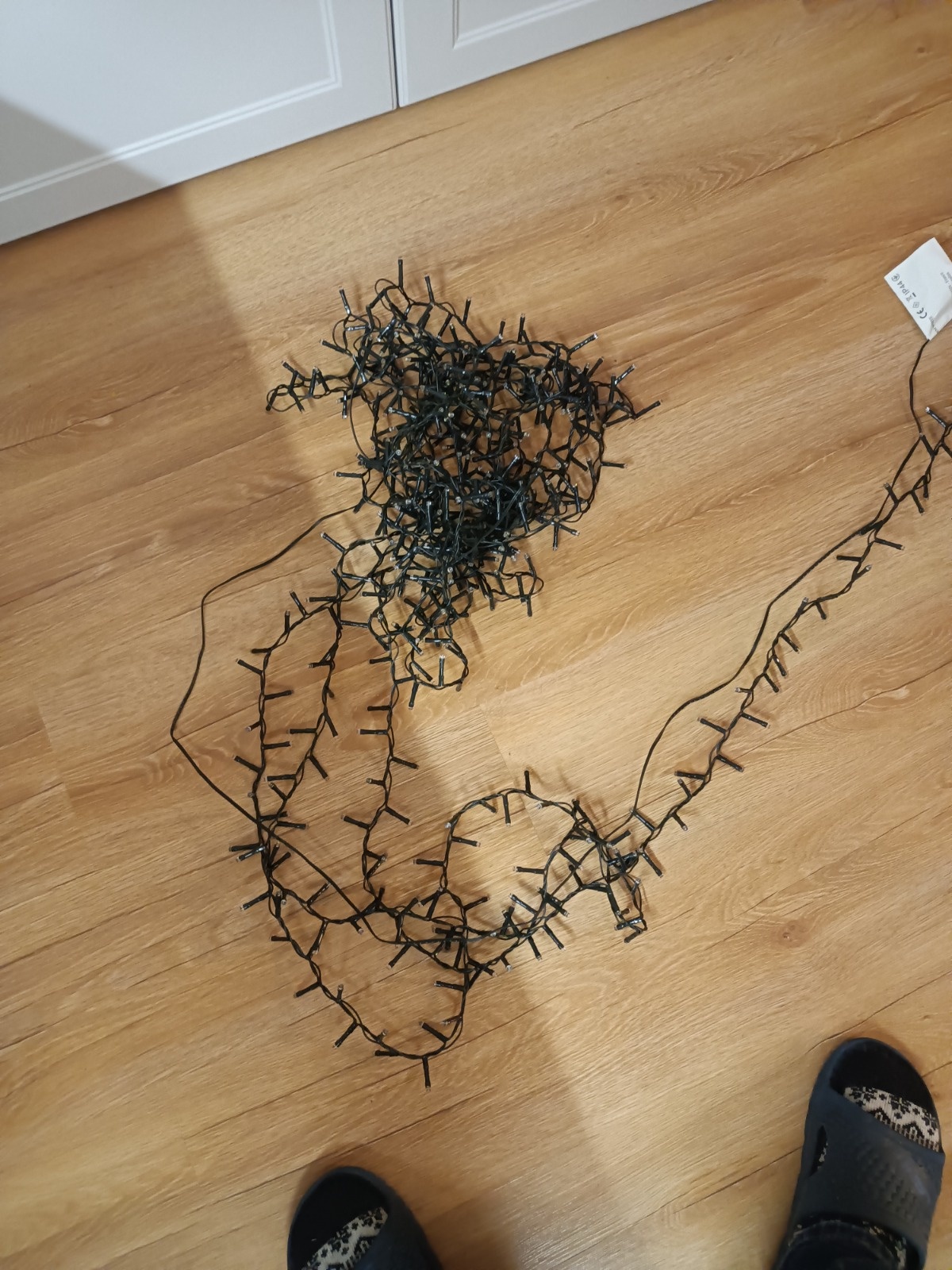 5590c816-1b22-461e-8d1e-d859e35c09b9