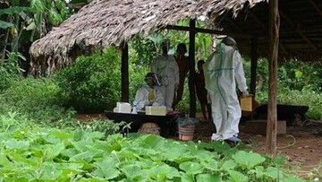 Amazonia: 12 godzin niósł niepełnosprawnego przez dżunglę, by mógł się zaszczepić