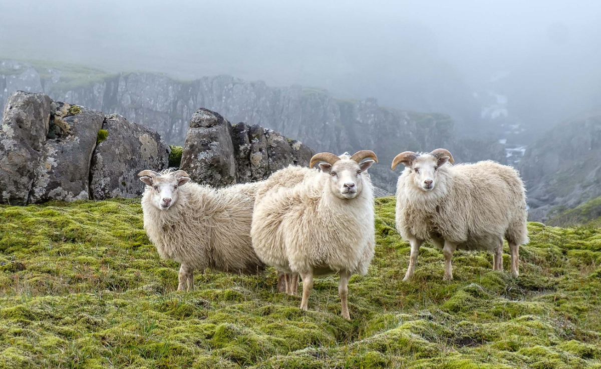 55079966-9fe1-44e7-b22b-3b144fd19847