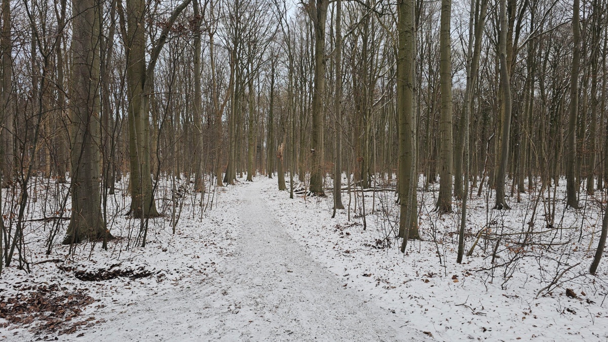 ec845349-f126-4341-b0b4-5a14a06d319c