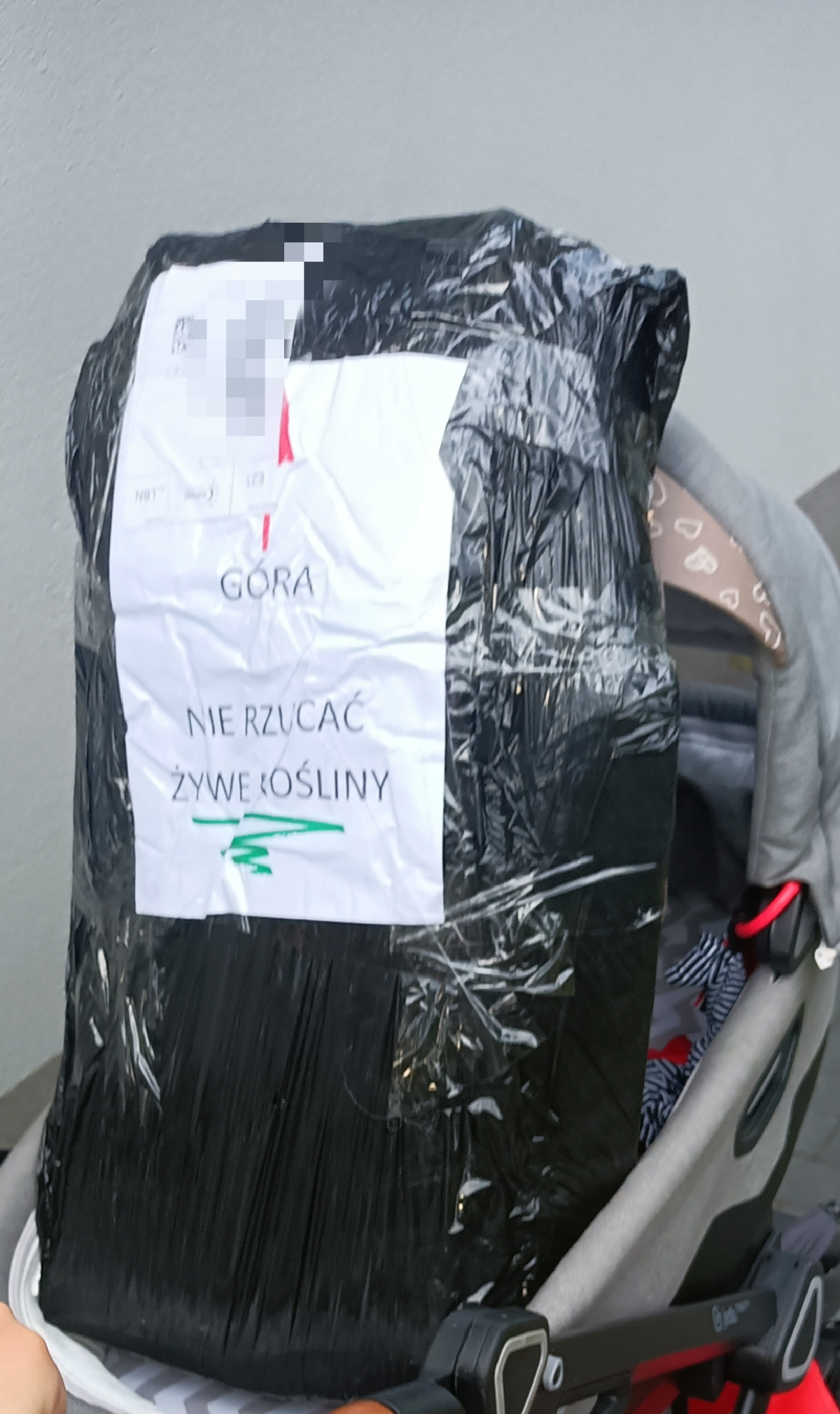 50456095-bee7-4789-b1fe-10e085831bff