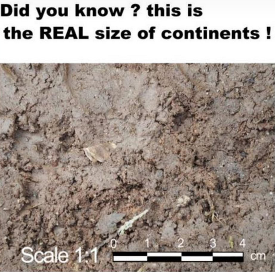 785b21d7-ce9c-405d-b94a-b064ed5e454a