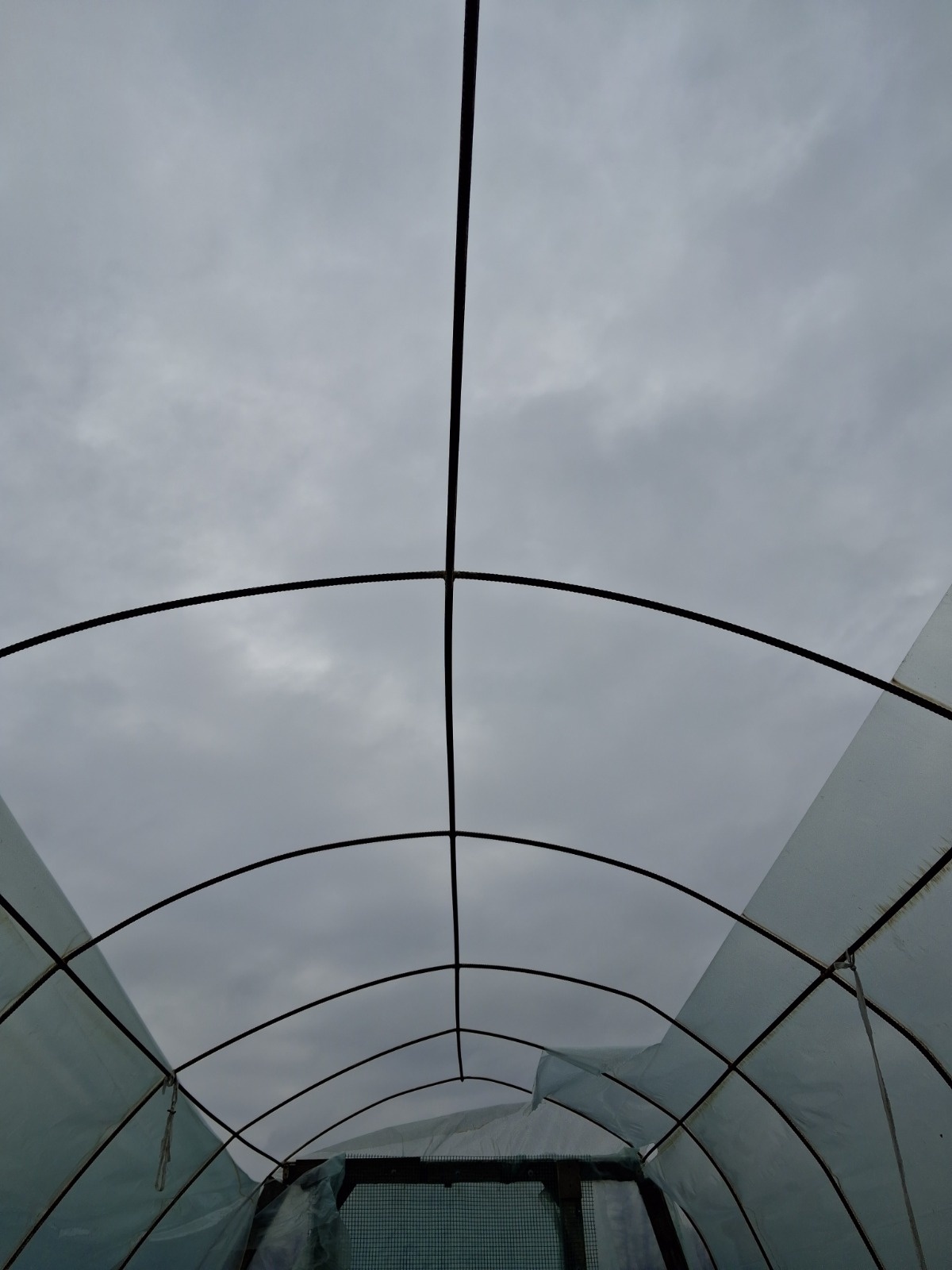 afcdfa12-e988-4dc6-a864-c36355a3a27d