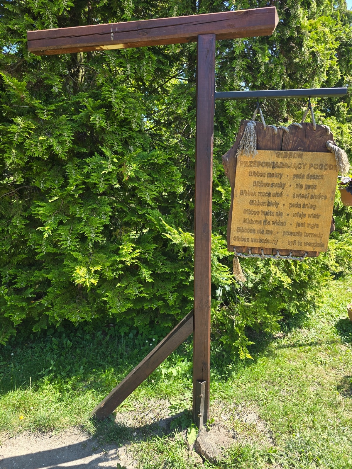 f8572ca5-3101-4db4-bc02-dd4f87a90450