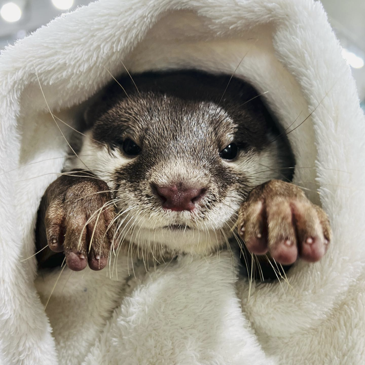 59072728-f637-4162-8822-82228d56d9ae