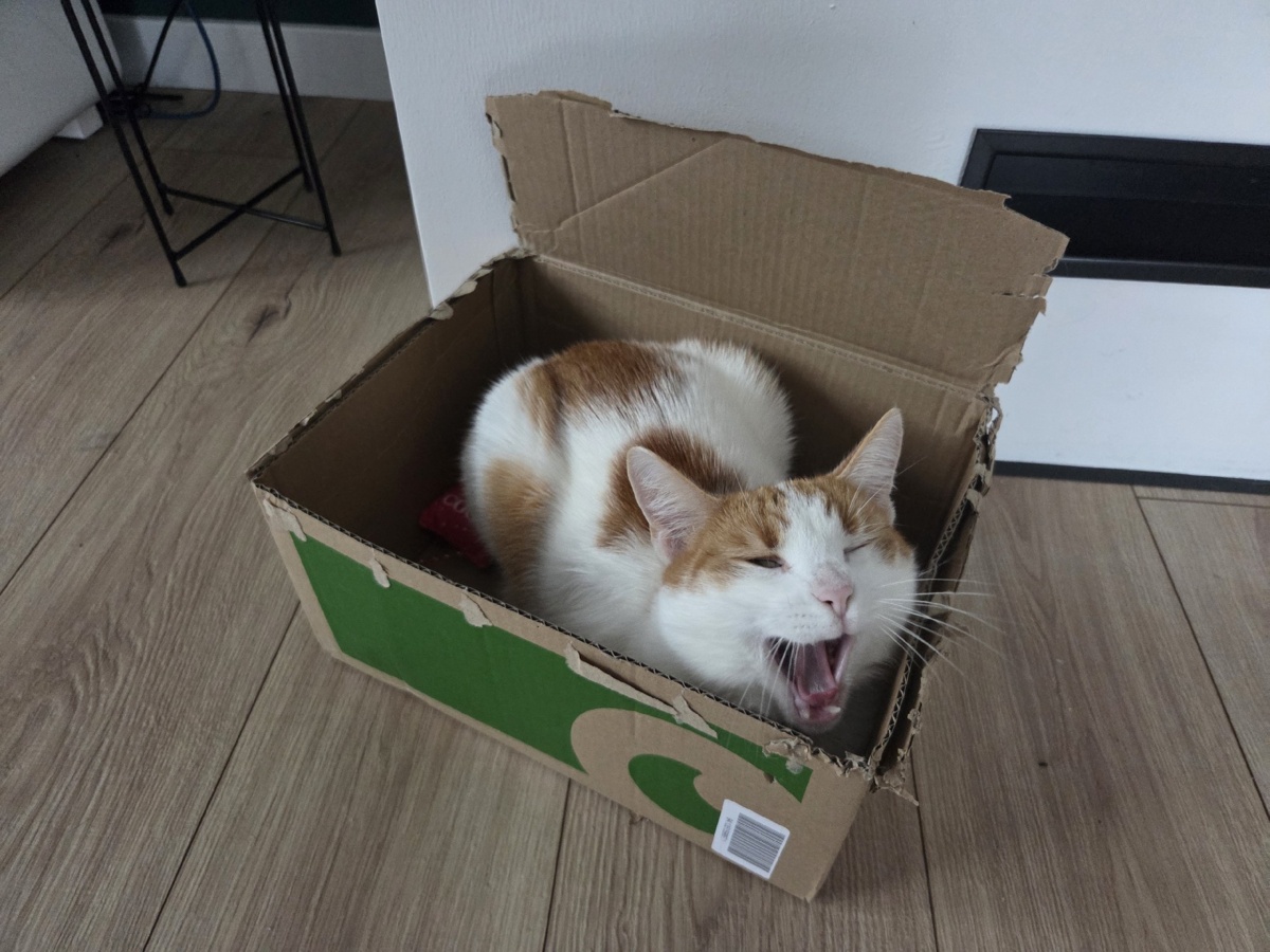 4a535eb2-64d6-4c22-aa26-de5c48cb2c7a